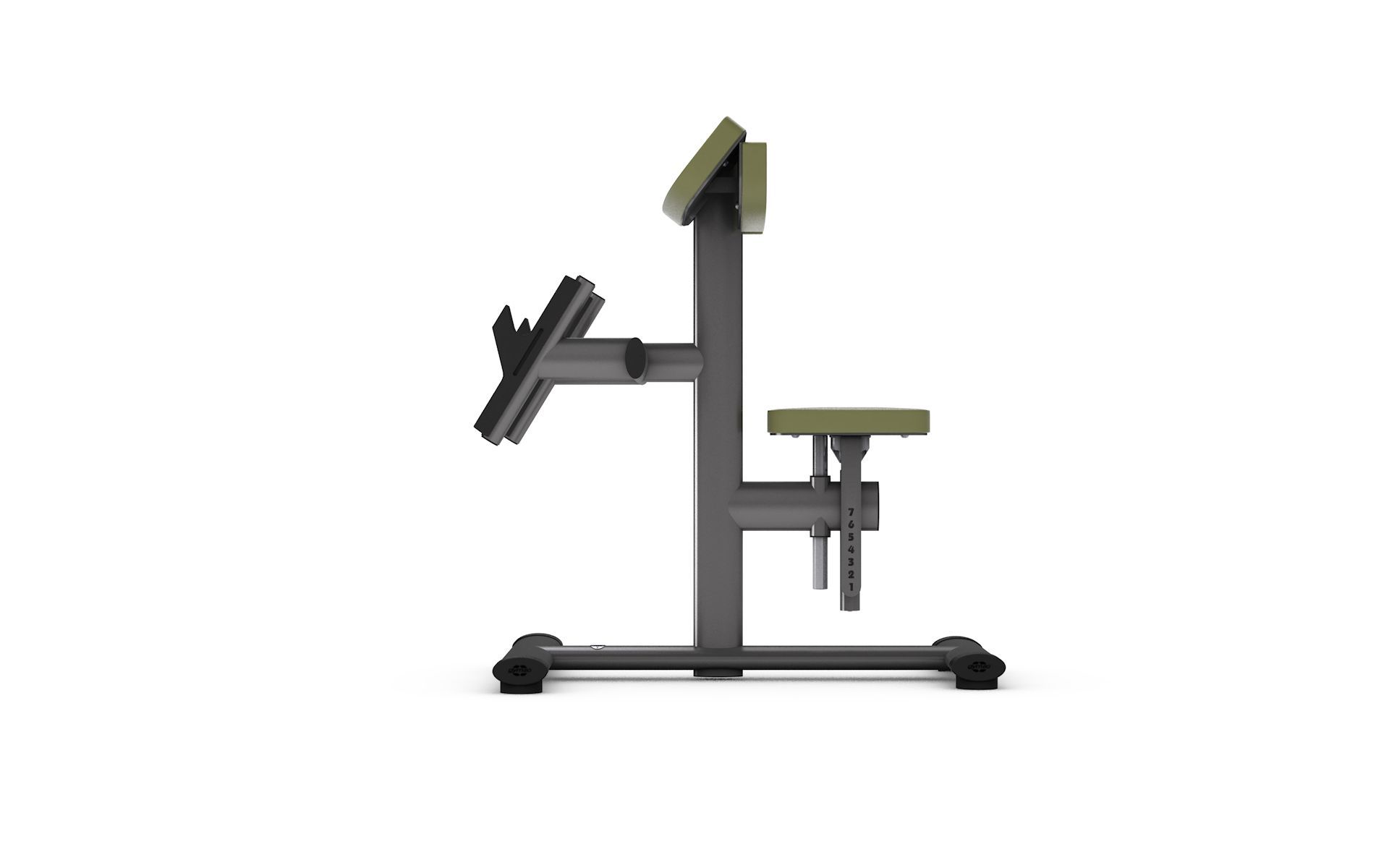 Скамья Скотта GYM80 SYGNUM Basic