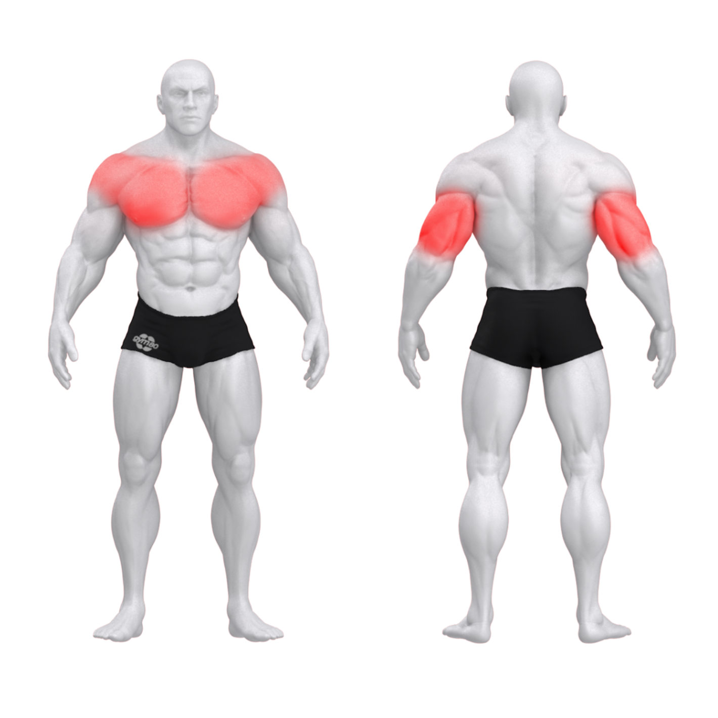 Независимый жим лежа с отрицательным наклоном PURE CRAFT STRONG GYM80
