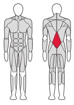 Гиперэкстензия обратная InterAtletika Verti 