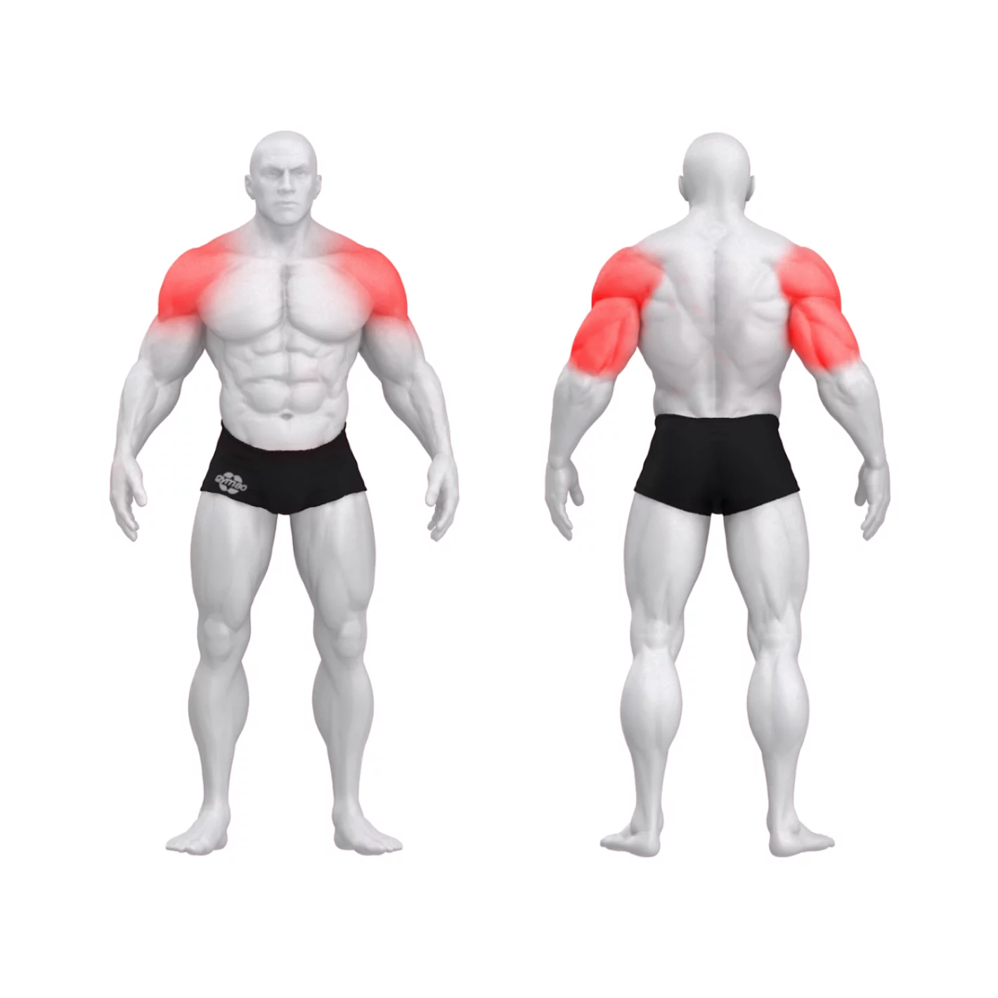 Независимый жим от плеч PURE CRAFT DUAL GYM80