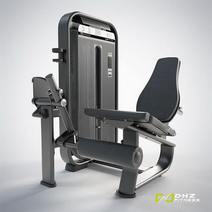 Разгибание ног DHZ Fusion Pro