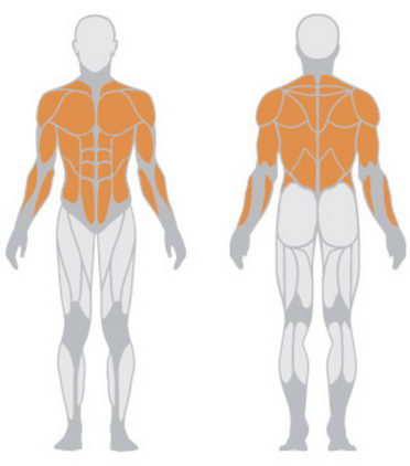 Тяги к себе стоя универсальные Panatta HP