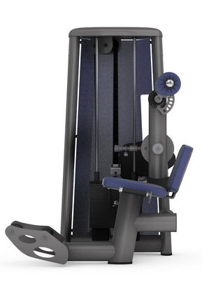 Разгибание спины (нижняя часть) GYM80 SYGNUM Standards 