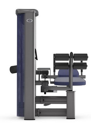 Пресс машина (подтягивание ног) GYM80 SYGNUM Standards 