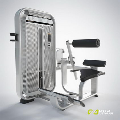 Разгибание спины DHZ Fusion