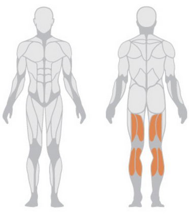 Сгибатель бедра Panatta HP