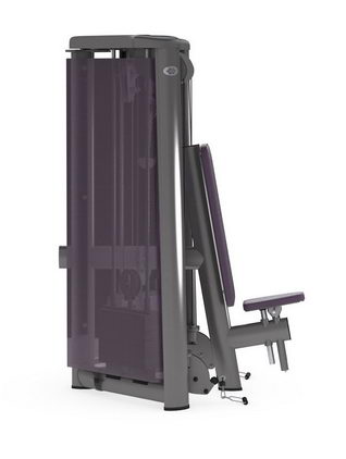 Жим от плеч, скручивание GYM80 SYGNUM Cable Art  