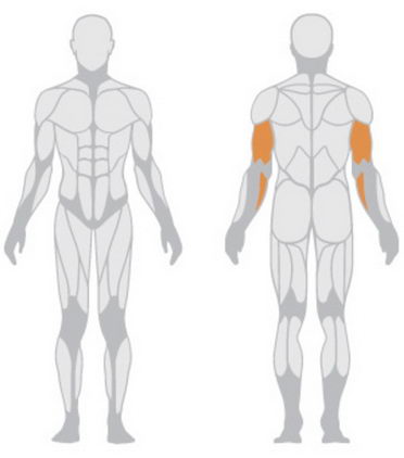 Трицепс-машина Panatta HP