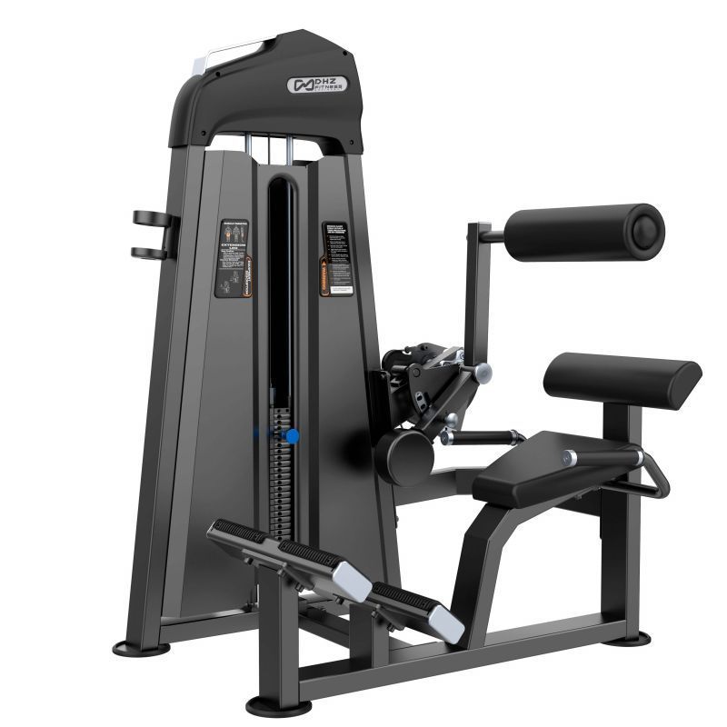 Разгибание спины DHZ Evost I