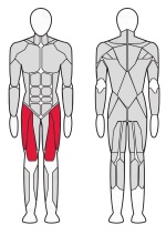 Разгибатель бедра InterAtletika Verti 