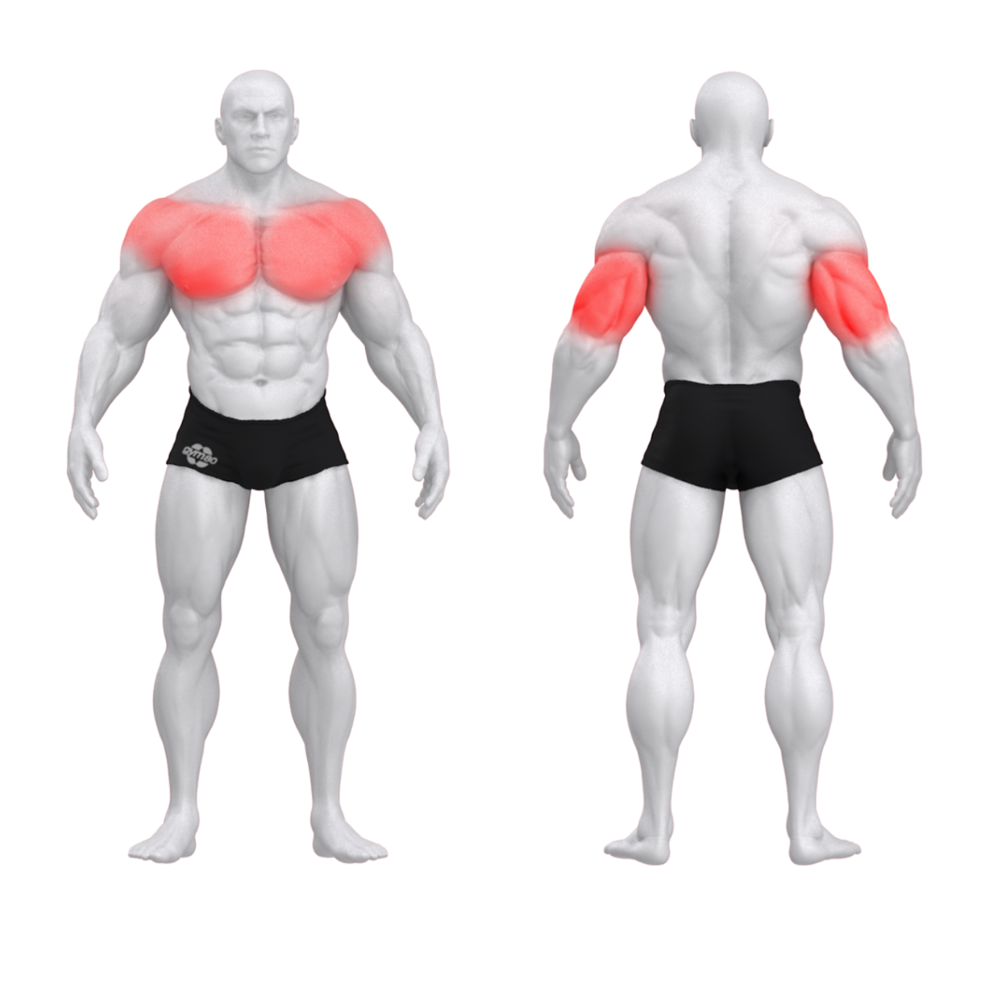 Независимый жим от груди лежа PURE CRAFT STRONG GYM80