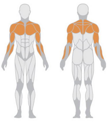 Скамья универсальная Panatta HP