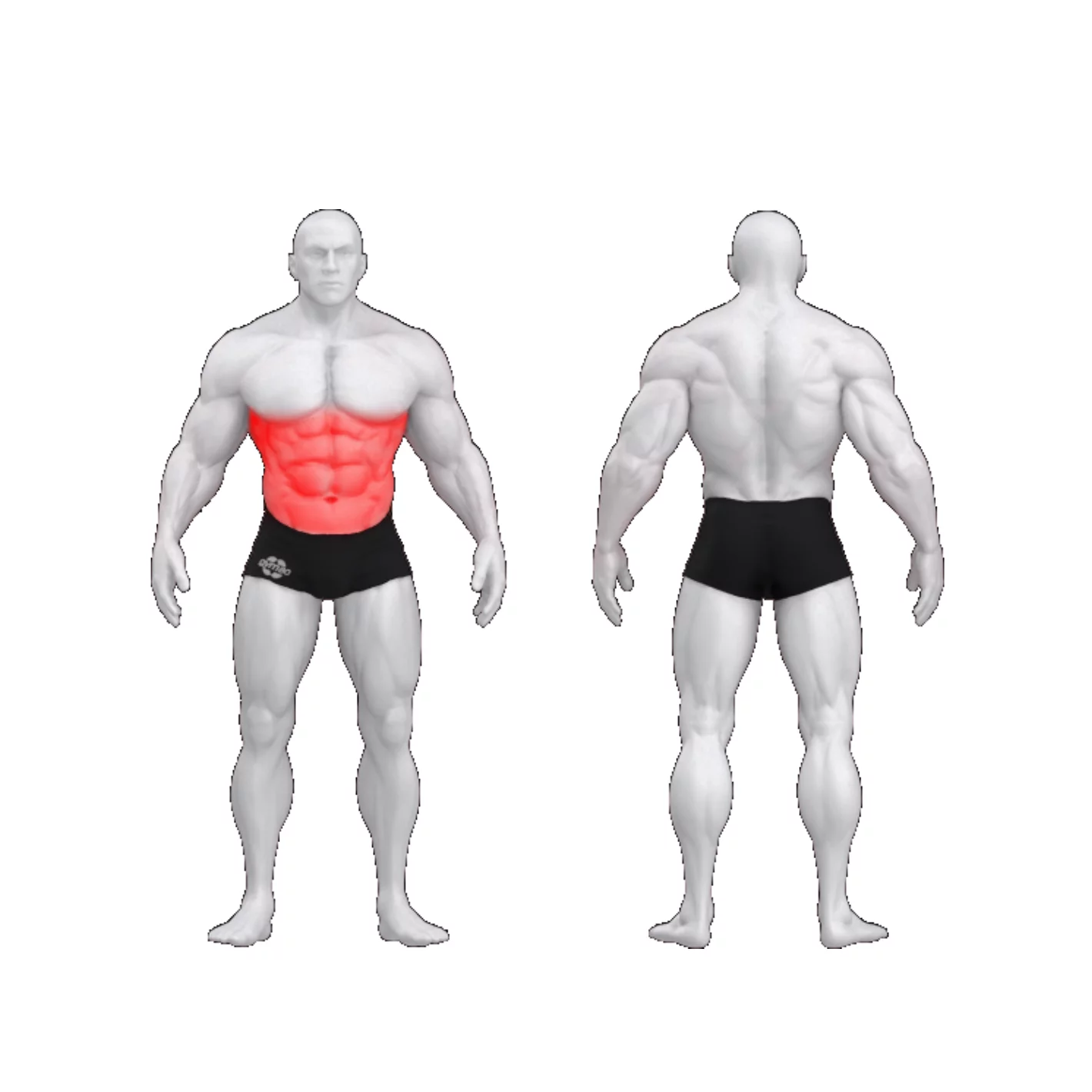 Вращение корпуса PURE CRAFT GYM80