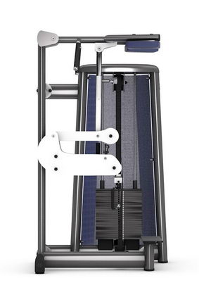 Голень стоя GYM80 SYGNUM Standards 
