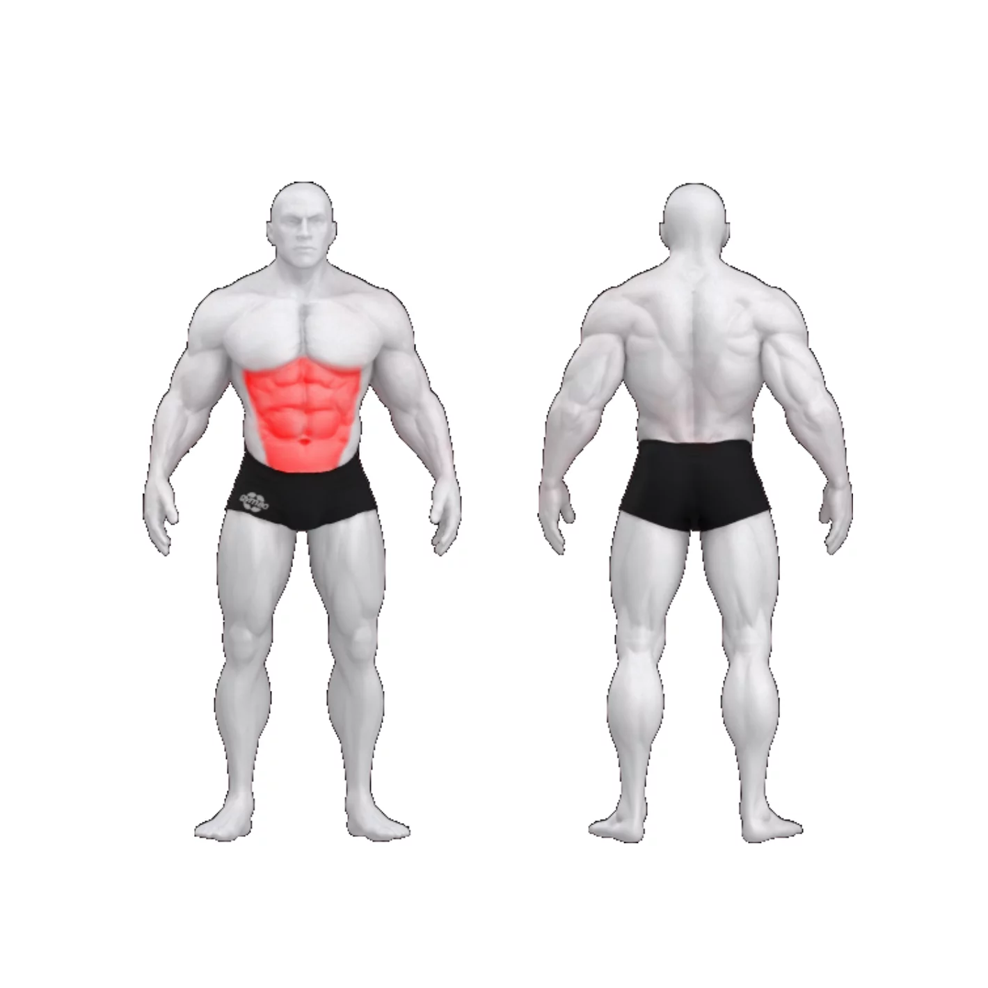 Пресс PURE CRAFT GYM80