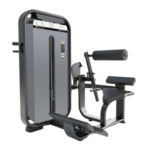 Разгибание спины DHZ Fusion Core