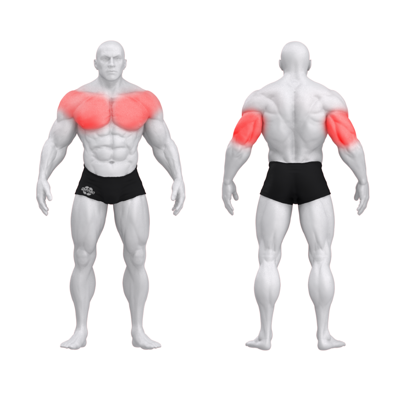 Независимые вертикальные отжимания PURE CRAFT DUAL GYM80
