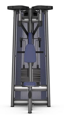 Отведение рук назад (задние дельты) GYM80 SYGNUM Standards 