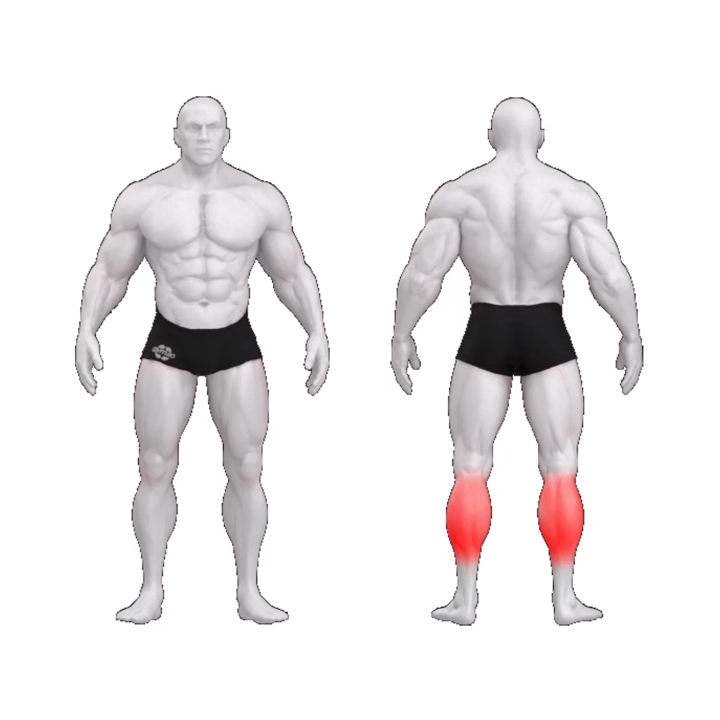 Голень сидя (вертикально) PURE CRAFT GYM80